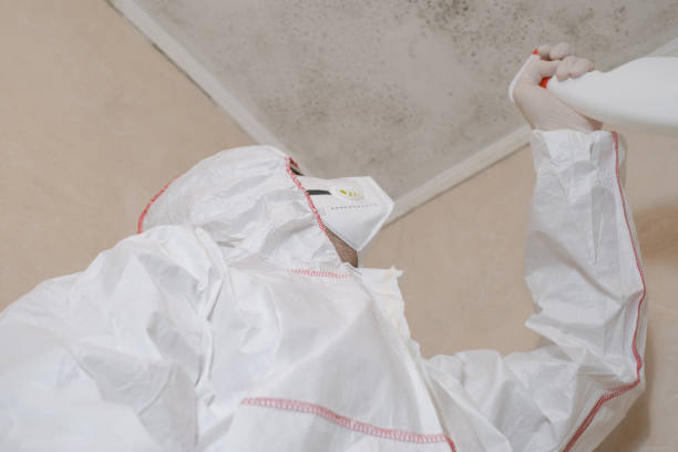 Best Professional Mold Removal  in Ruhenstroth, NV